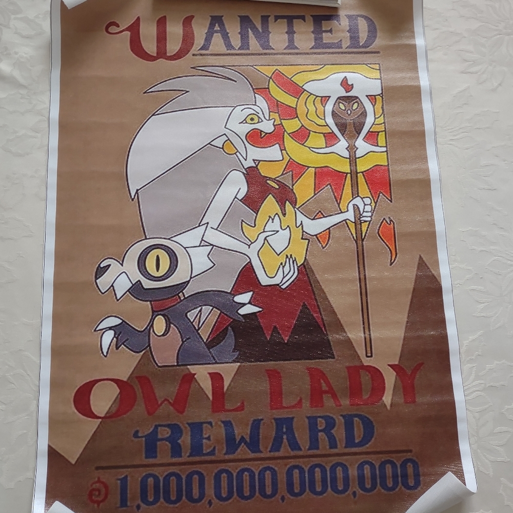 Wanted Owl Lady Reward canvas poster 16in x 24in Halloween
